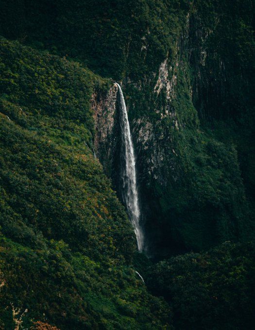 Médecin du travail - La Réunion (97)